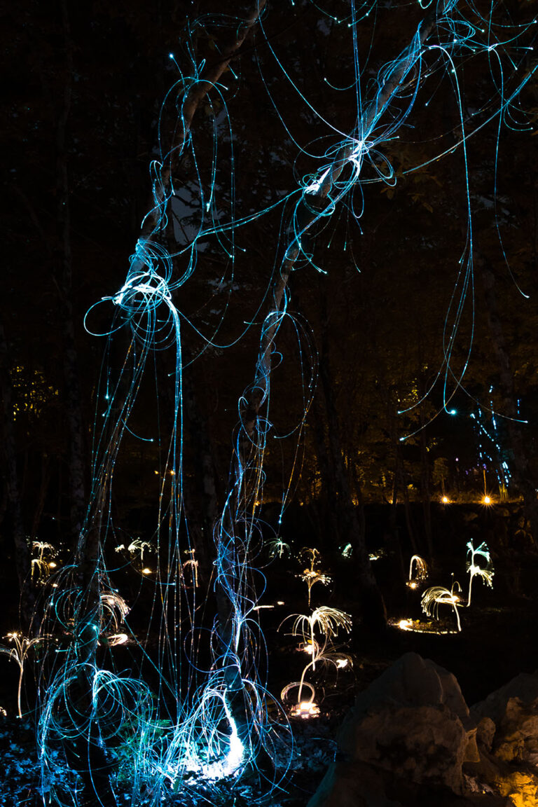 LightLand - Family light park in Montenegro at night.